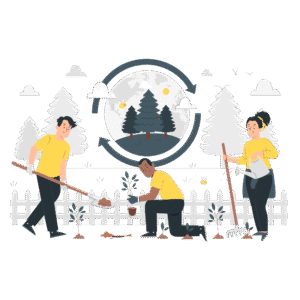 Reforestation_pana_d92839991f