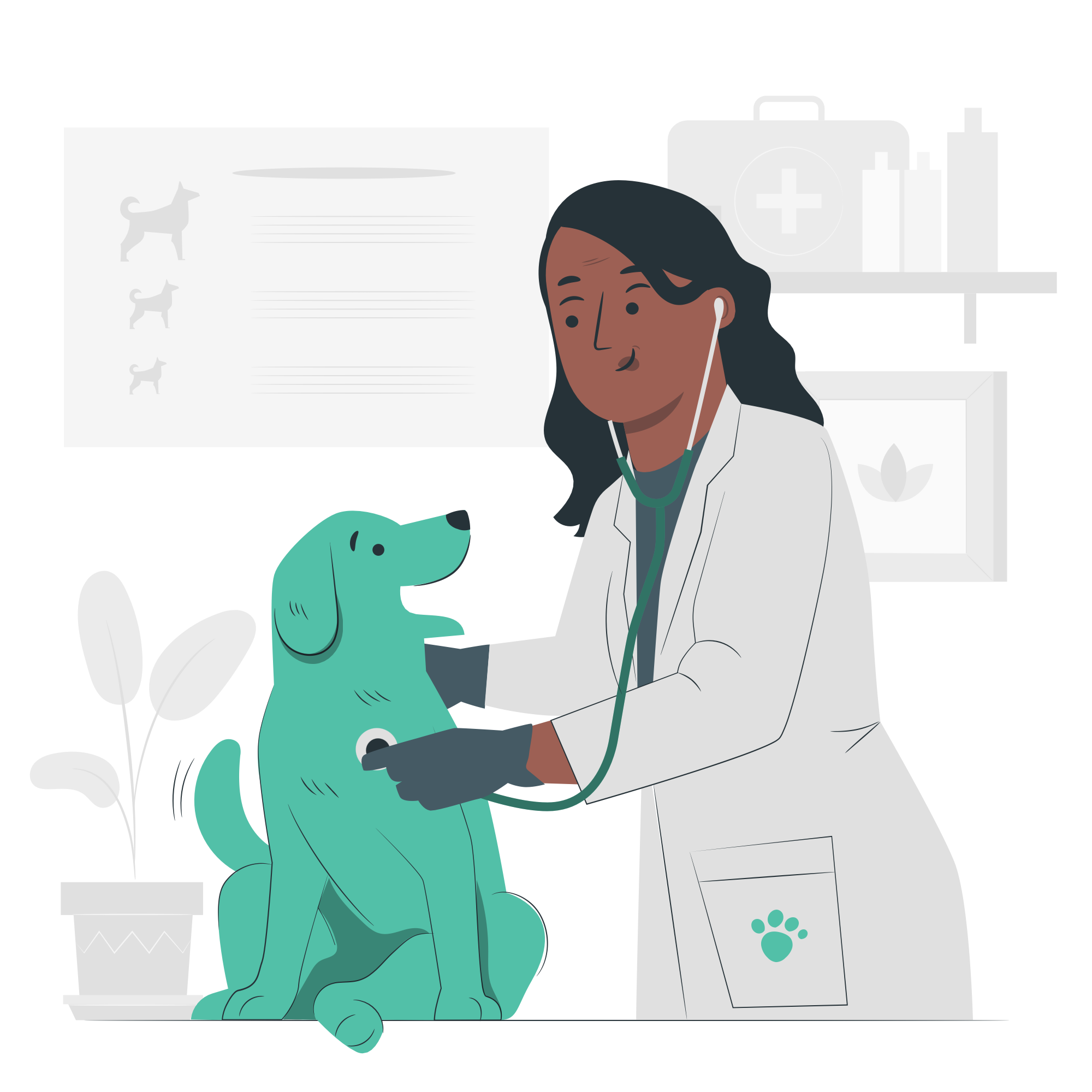 Veterinary_pana_ad05bbeb11