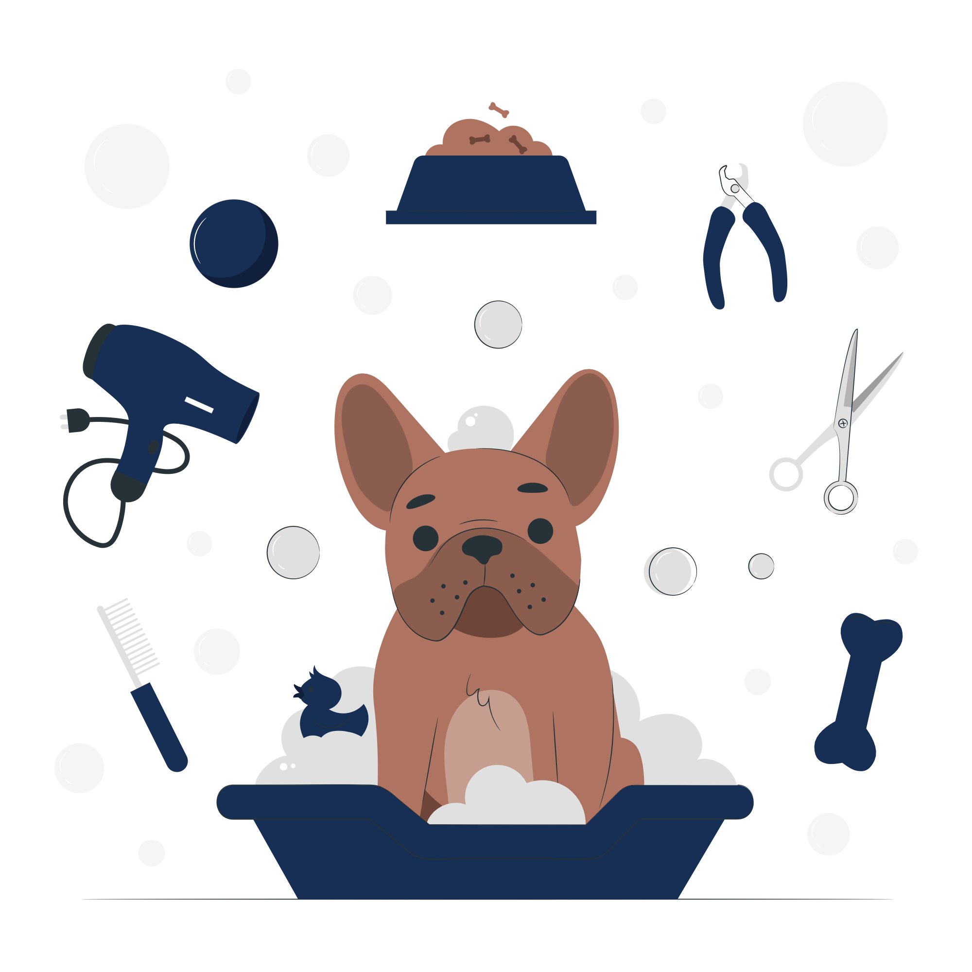 pet_care_pana_0586781616
